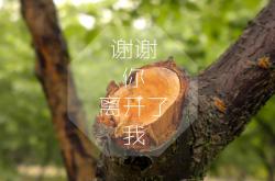 开云体育登录-布罗佐维奇的铁腕指令，波兰大胜葡萄牙，E组格局一夜颠覆