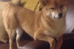 开云体育app-平行时空崩塌夜，当乌拉圭国家队横扫切尔西，哈兰德成了那个改写规则的人