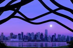 开云体育平台APP-独木成林，当林高远以血肉之躯，扛起鏖战中的钢铁长城