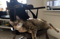 开云体育-唯一的关键先生，范弗利特扛起全队，助勇士险胜火箭