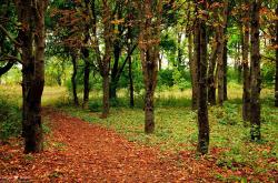 开云体育登录-篮球巨星跨界接管德甲争冠战？拉梅洛的足球奇幻夜与底特律的隐喻胜利