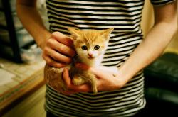 开云体育官网-收割、文明与里程碑，当足球超越边界