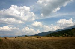 开云体育登录-星火焚城，当CBA的孤胆英雄，点燃NBA的钢铁洪流