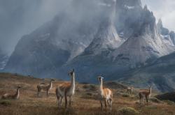 开云体育入口-127秒，从喧嚣到死寂，努涅斯在分秒之间接管欧冠决赛