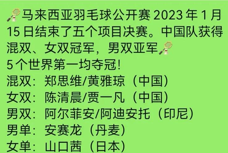 马来西亚羽毛球队鏖战韩国羽毛球队，李宗伟送出助攻
