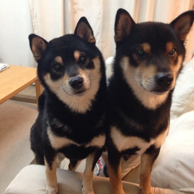 双重荣耀,当联合杯绝杀成为ATP总决赛的预言,鲁德跨越时空的关键制胜