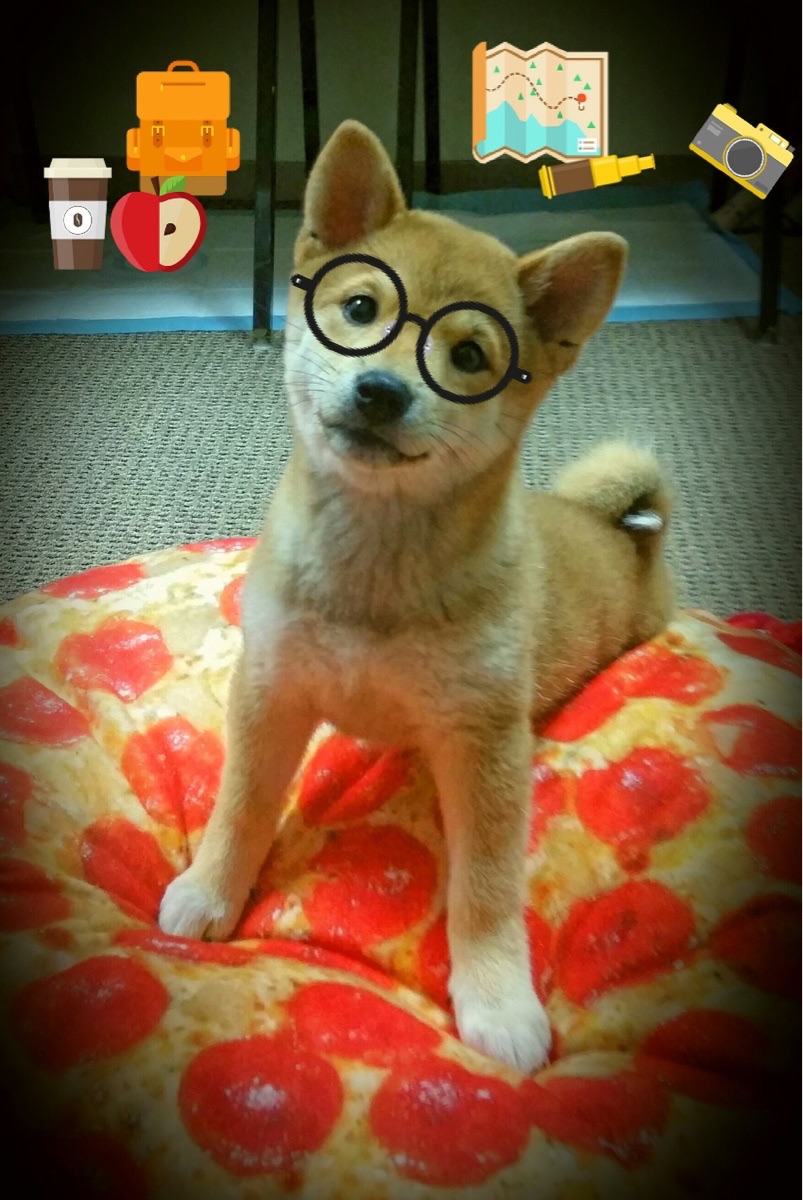 破局，黄鸭组合如何击碎关键分魔咒