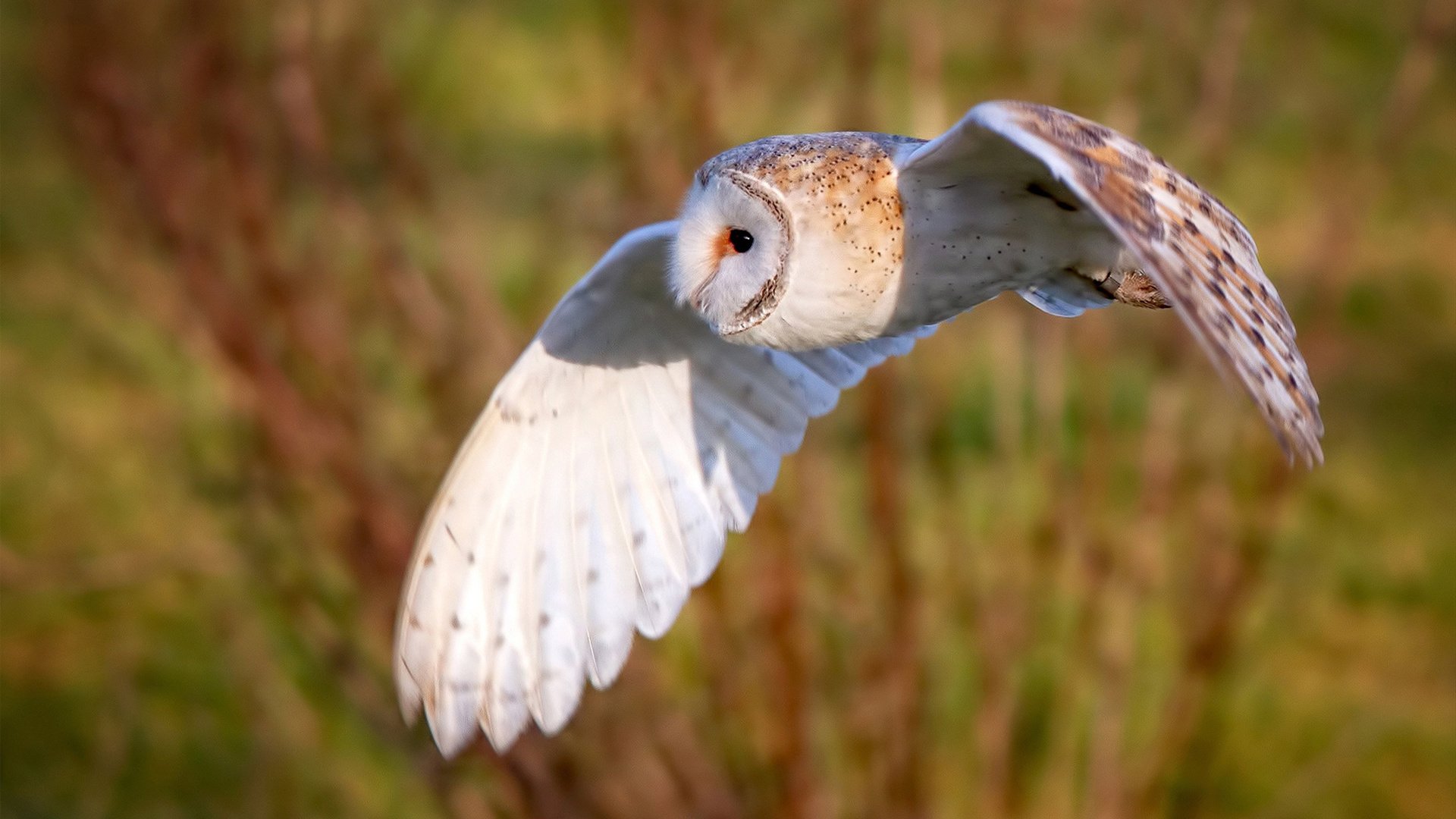 平行宇宙的决胜时刻，当英超争冠与电竞世界的墨西哥奇迹相遇