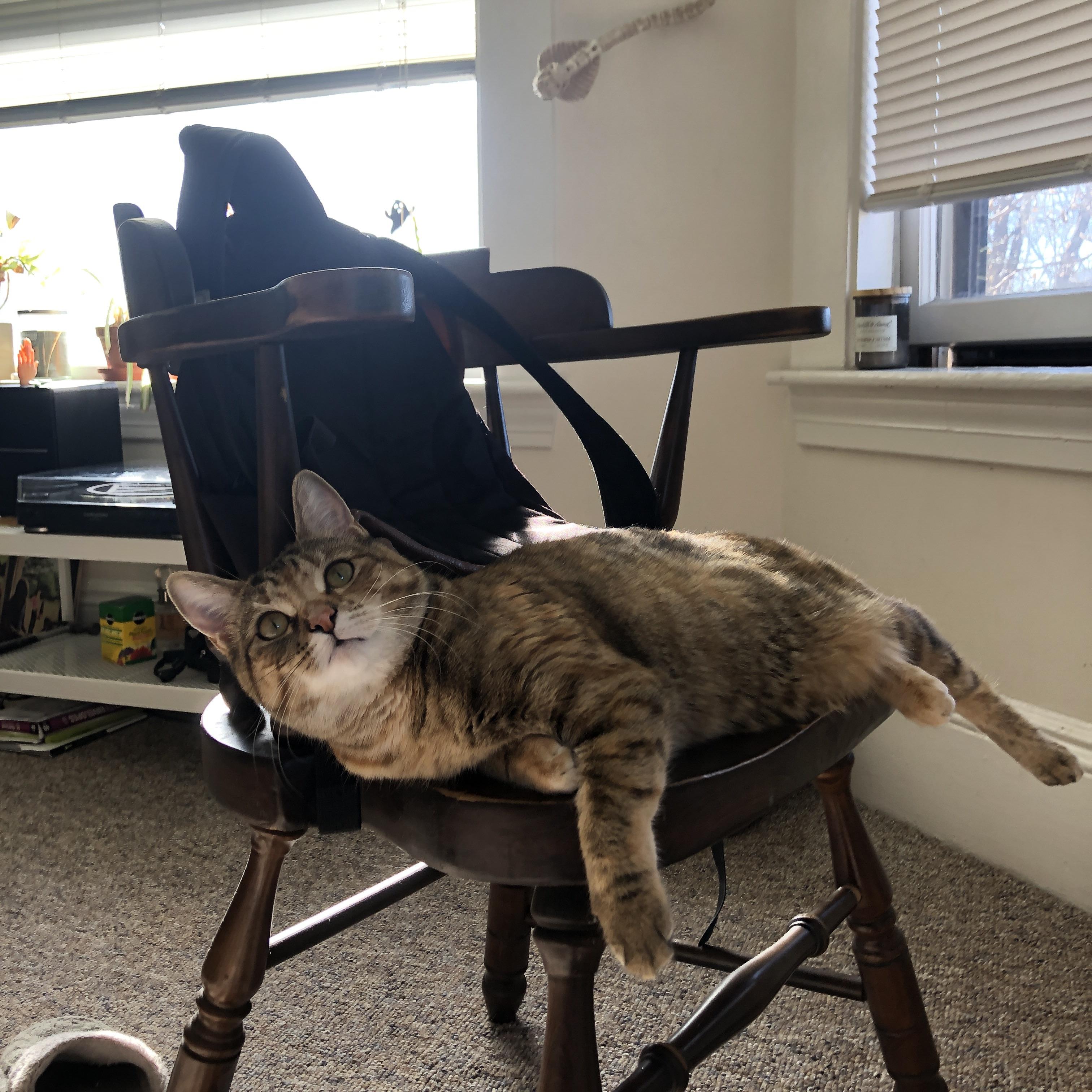 唯一的关键先生，范弗利特扛起全队，助勇士险胜火箭