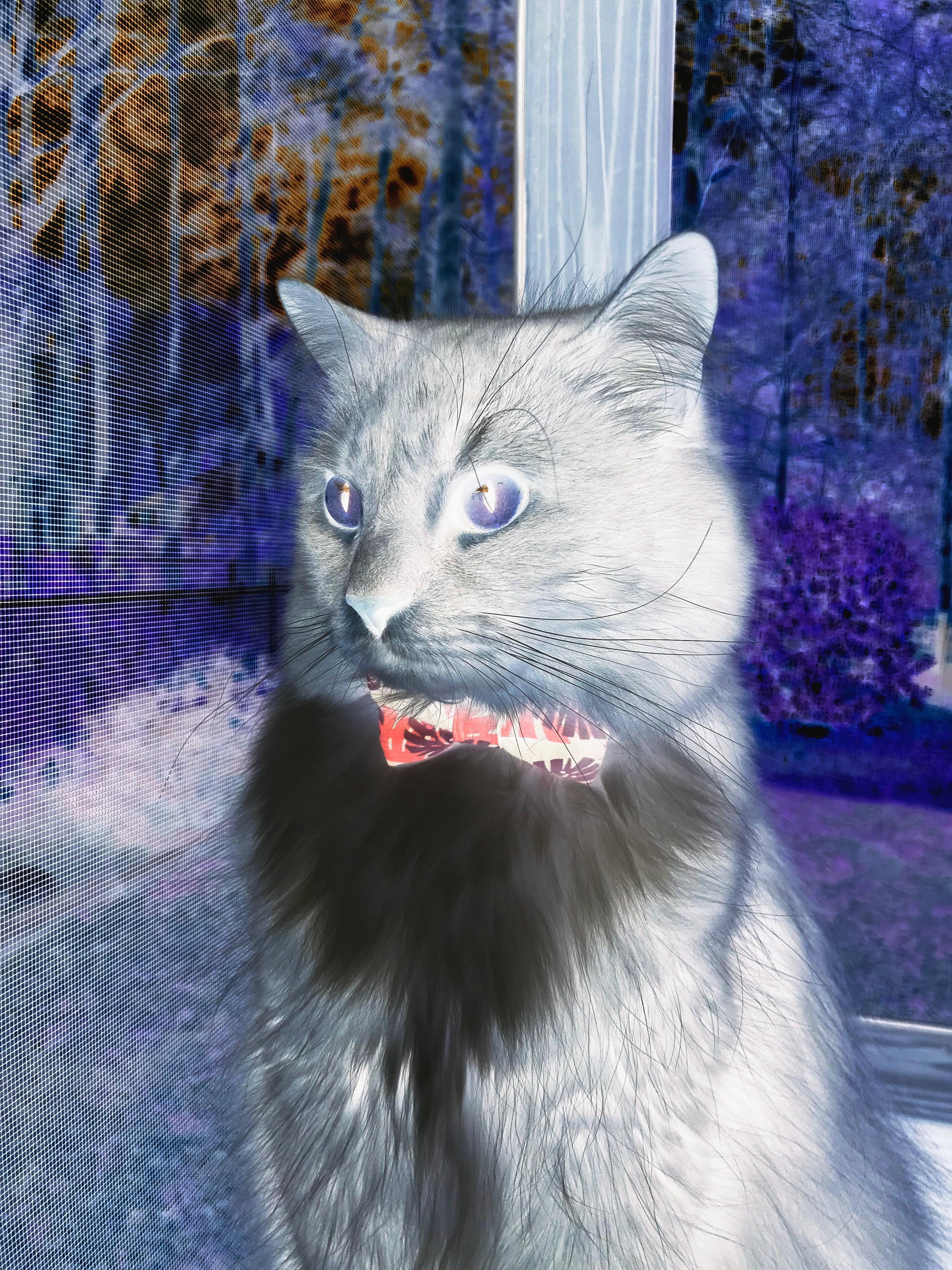 莱万爆发触发地理魔咒，比利亚雷亚尔决胜局竟带走整个伊拉克