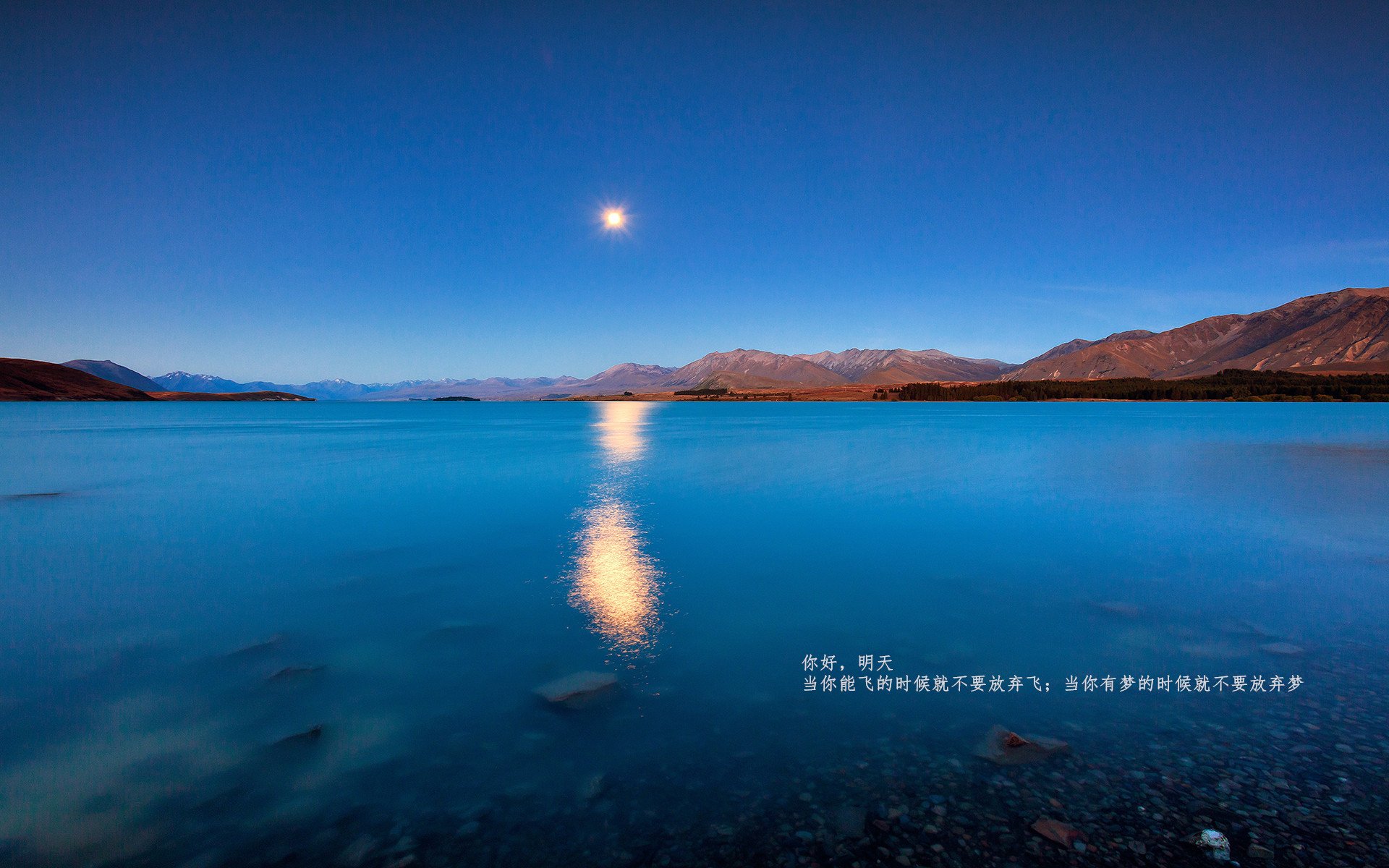 火山喷发，冰与火的交锋，当北欧战吼击穿沙漠壁垒，努涅斯化身关键先生