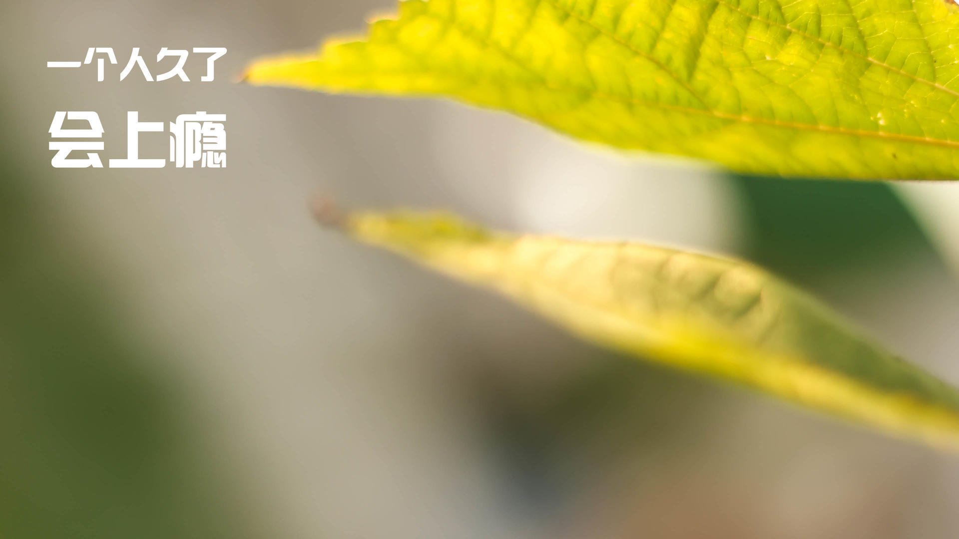 浙江三江汇流，难挡锡安数据洪流狂袭黄蜂巢穴