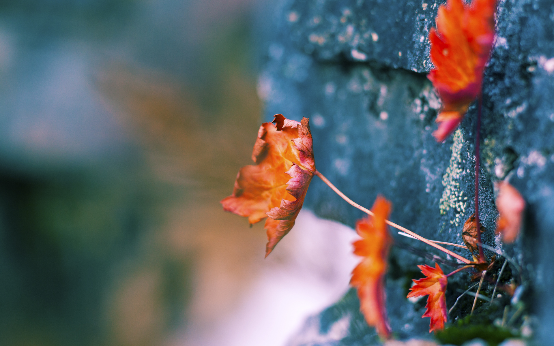 哈登加时王者归来！末节17分+致命封盖，一战后所有质疑者闭嘴