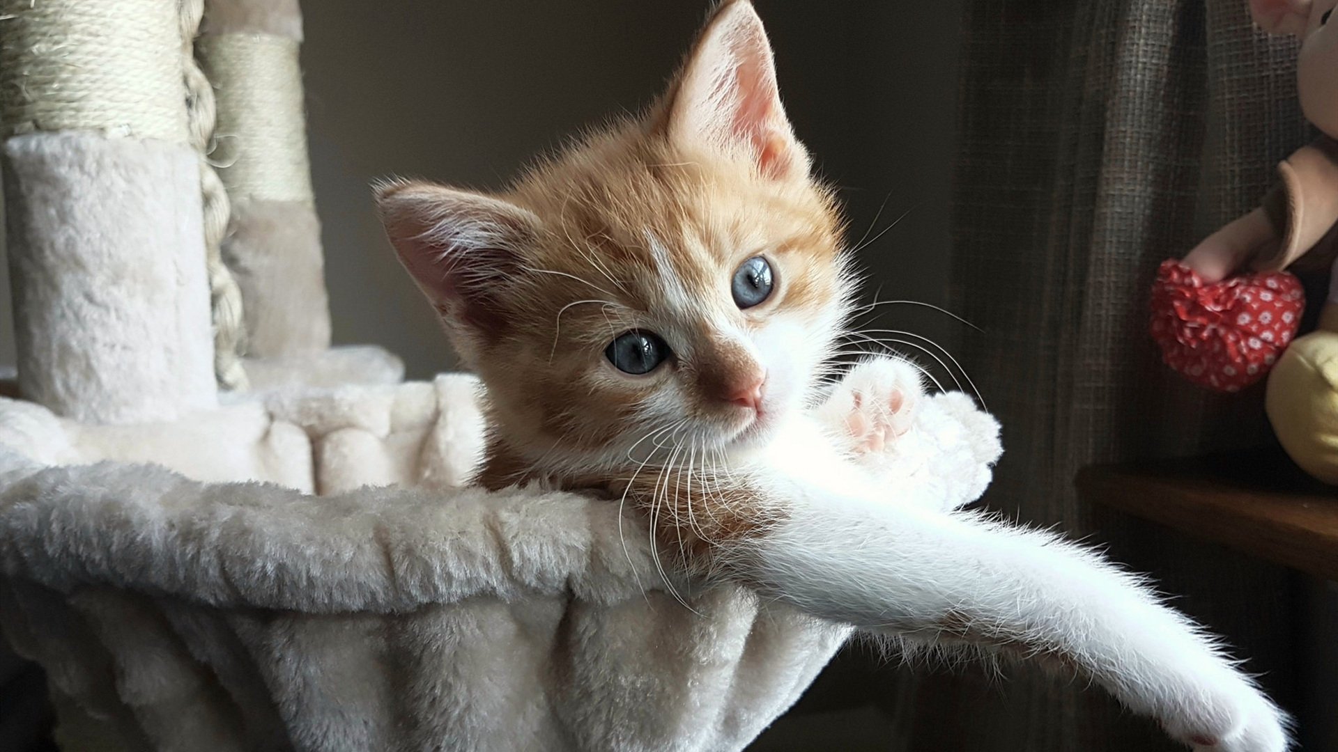 1.银河战舰的战术棋局,皇马如何以体系之力扼住尼斯的咽喉,黄喜灿一剑封喉