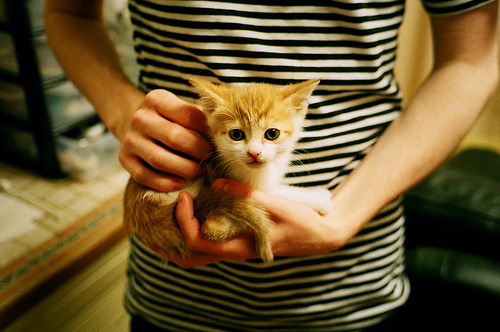 收割、文明与里程碑,当足球超越边界