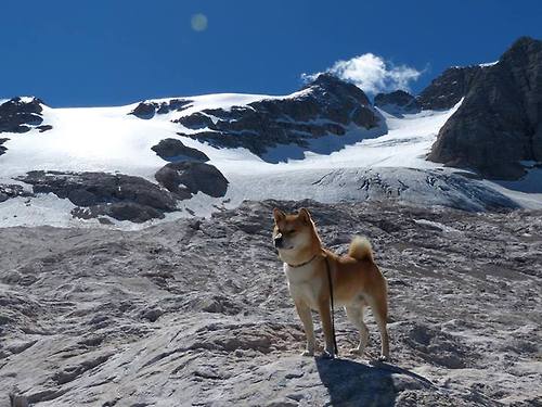 钢铁洪流吞噬蔚蓝海岸，苏亚雷斯一锤定音，土耳其完胜尼斯