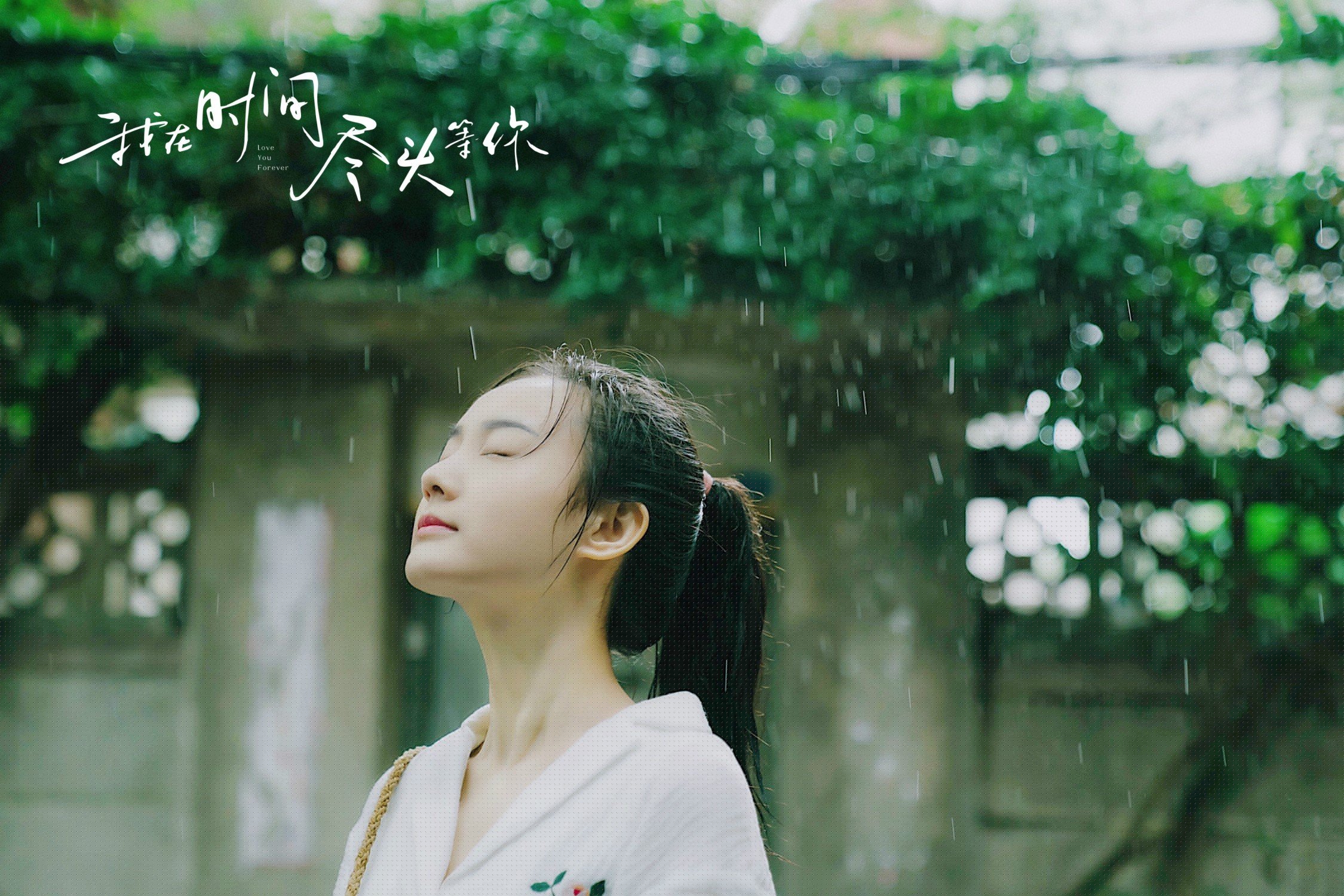 武切维奇的重剑，当古典技艺点燃猛龙逆袭之火