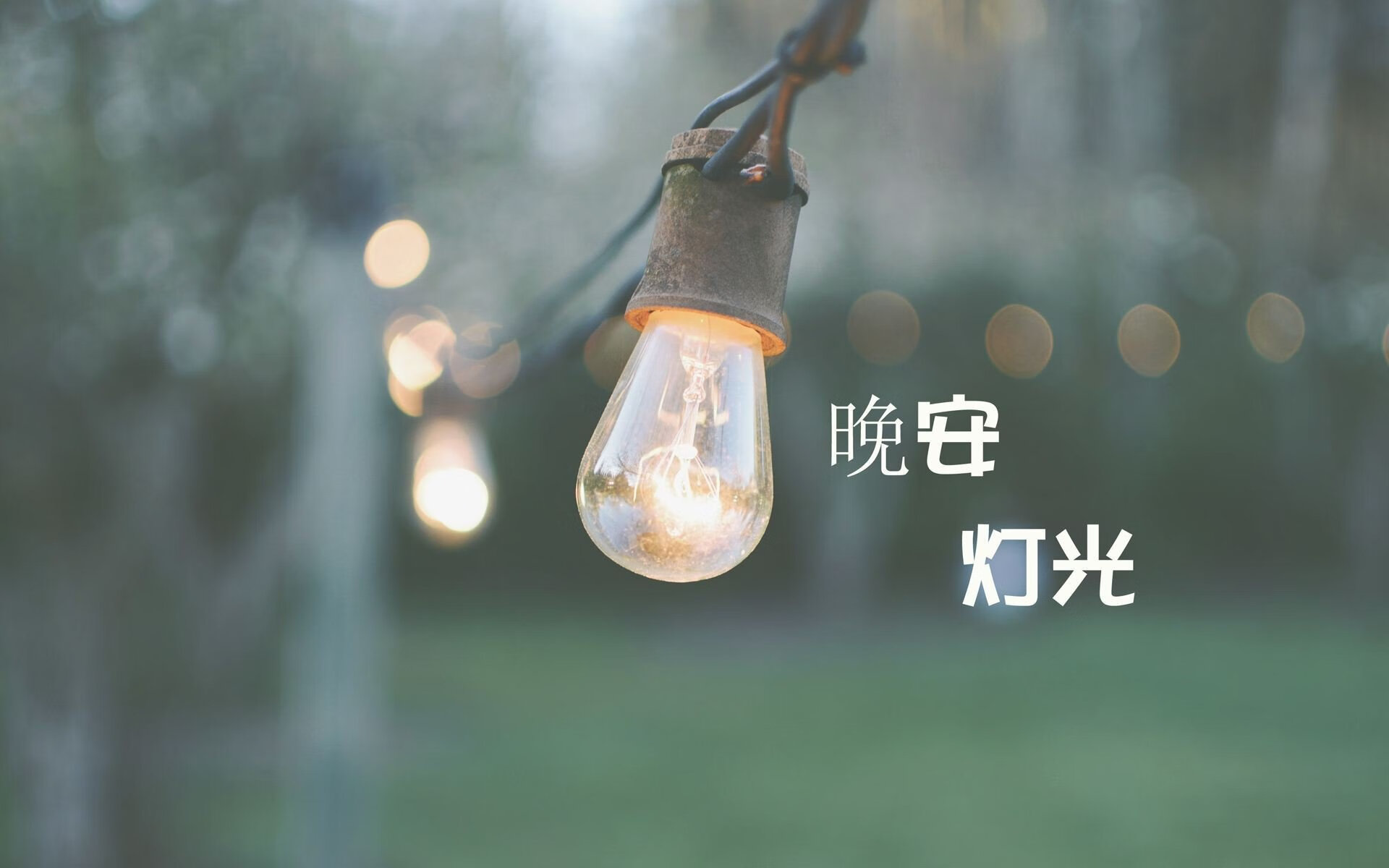 孤注一掷的瞬间,2026世界杯H组,斯洛伐克压制伊朗,费利克斯完成致命一击