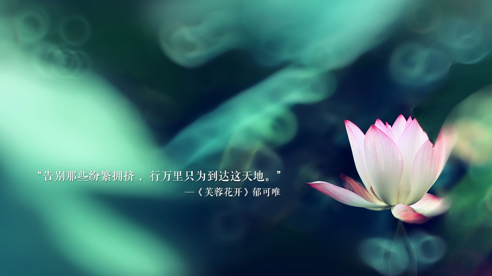 宿命的轮回,2026世界杯历史重演关键战,阿联酋险胜比利时,罗德里戈带队书写新篇
